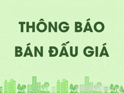 Thông báo về việc đấu giá MBA, tài sản tồn kho của EEMC